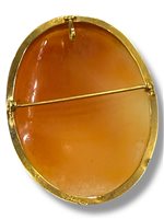 Brooch Mandile 1922 Woman Cammei antichi in Gold Conchiglia 1MSPC5 - 1MSPC5